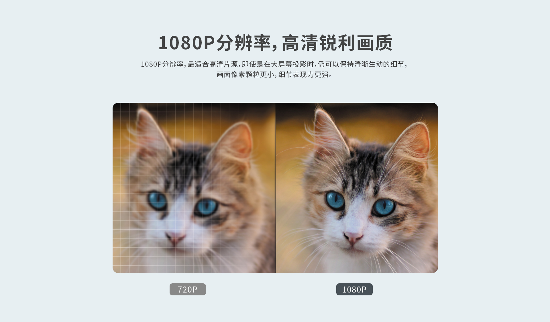 9001���Ž�ɳ